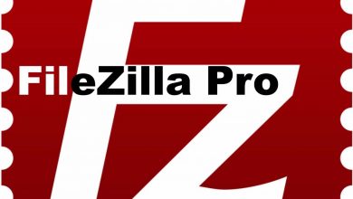 Filezilla Pro Multilingual Portable Ftuapps