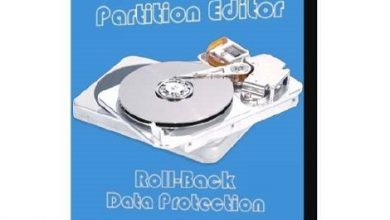 Niubi Partition Editor Technician Edition Crack