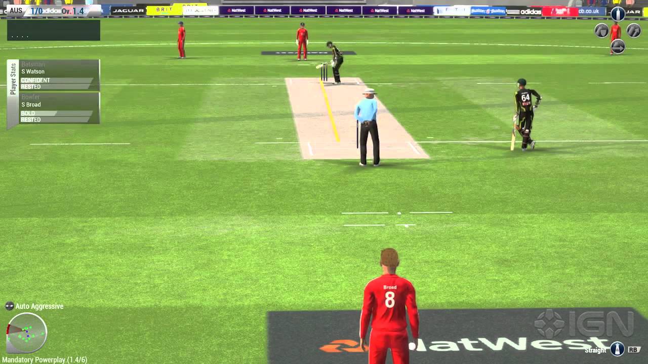 Ashes Cricket Game