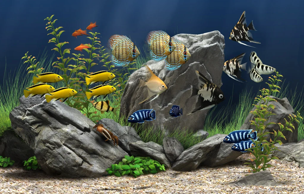 Dream Aquarium Virtual Fish Live Screensaver