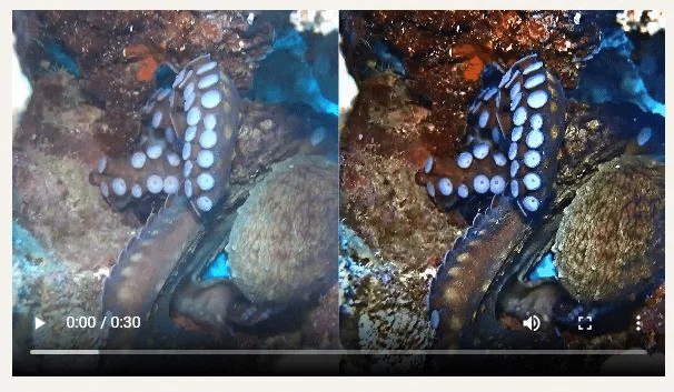 Franzis dive video professional free download