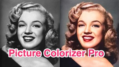 Picture Colorizer Pro For Windows Free Download