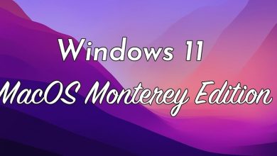 Download Windows 11 Macos Monterey Edition