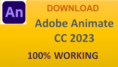 Adobe Animate 2023 With Serial Keys And Crack