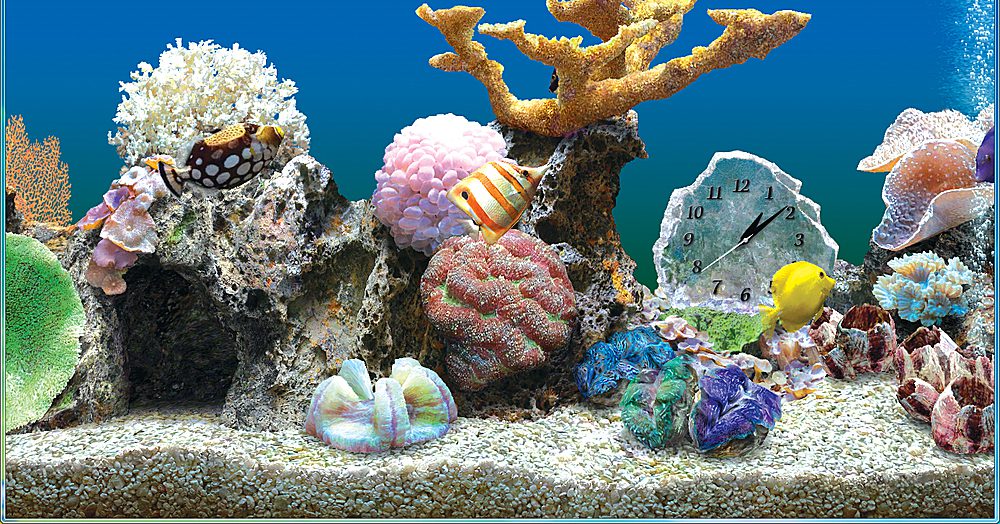 Marine Aquarium Deluxe Serial keys For Windows Free Download