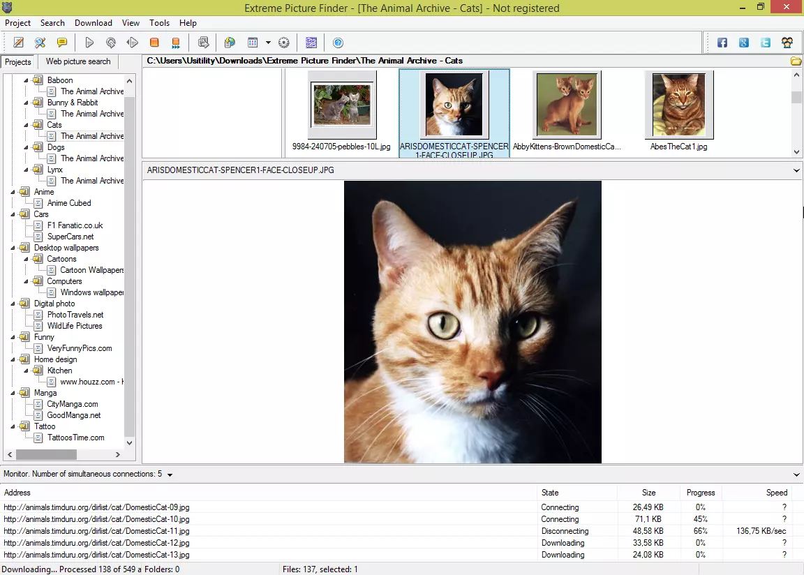 Extreme Picture Finder Full Version for pc