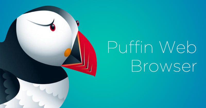 Download Puffin Secure Browser For Windows Free Download