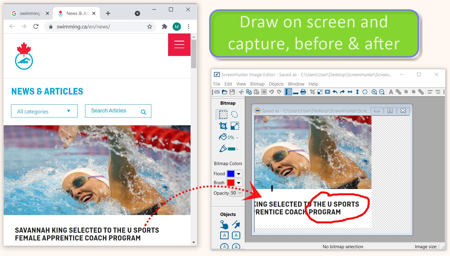 ScreenHunter 7 Pro Plus Free Download Full Version