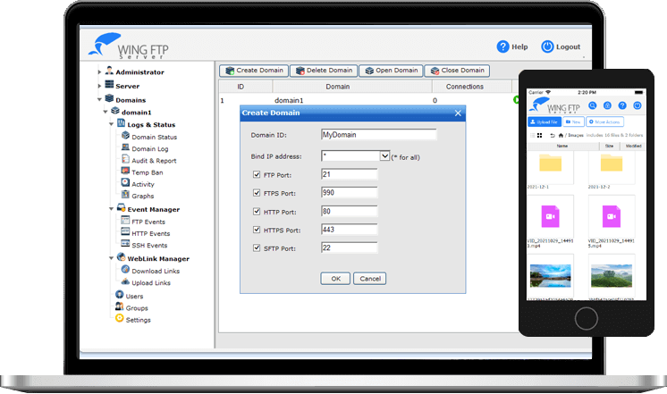 Wing FTP Server Corporate with Free Download