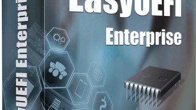 EasyUEFI Enterprise For Windows v5.8.1 Manage EFI/UEFI Boot Options & Manage EFI System Partitions