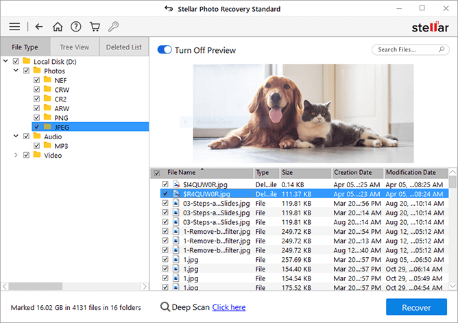 Stellar Photo Recovery Premium With keys full version