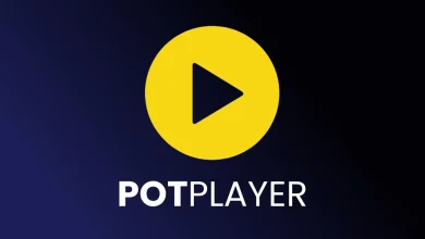 PotPlayer Software Full Version