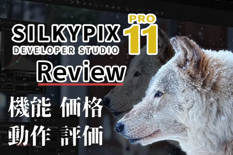 Download SILKYPIX Developer Studio Pro 11 With Activation Code