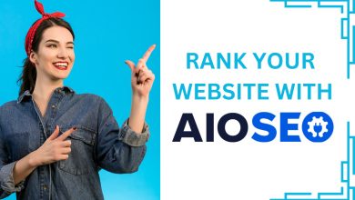 All in one SEO Pack Pro For WordPress v4.8.2 Best Retail WordPress SEO Plugin Software