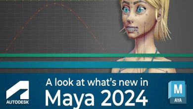 3D Animation Software