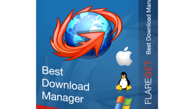 FlareGet Pro Free Download for windows