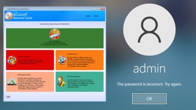 Lazesoft Windows Recovery Professional Full Version