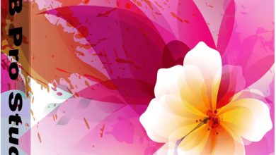 Download Pixarra TwistedBrush Pro Studio Full Version