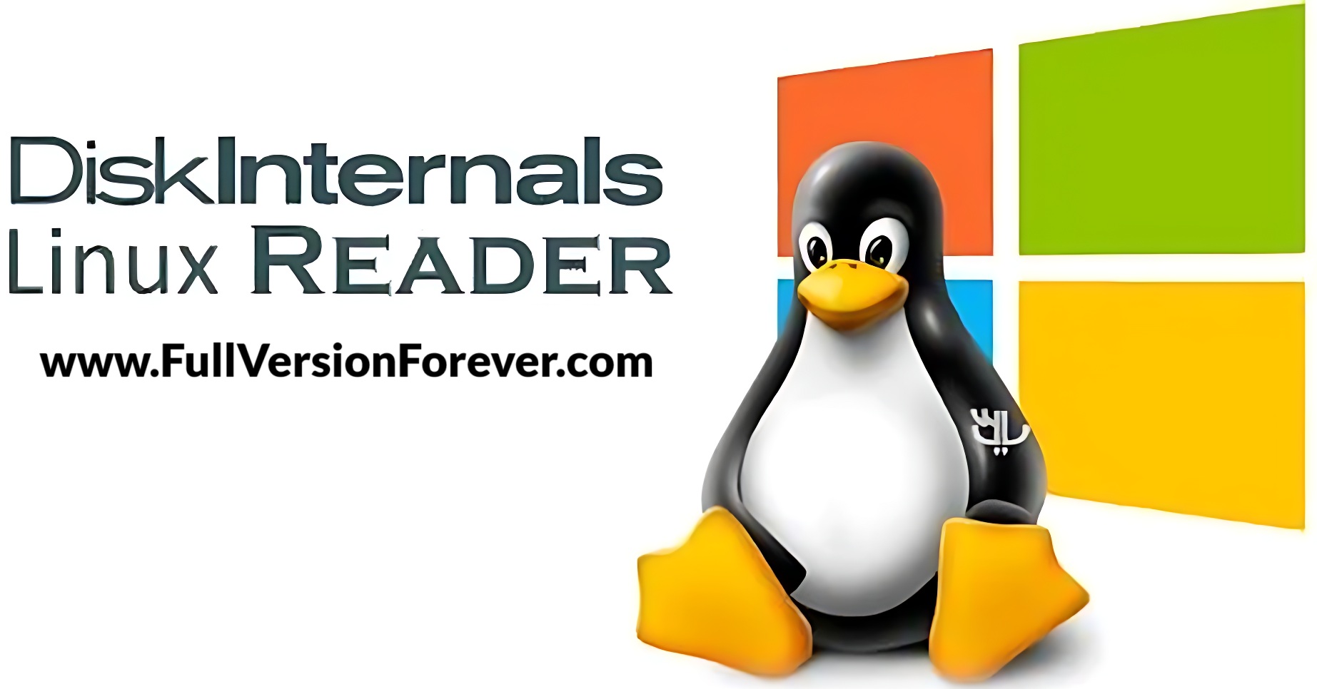 Download DiskInternals Linux Reader Pro Full Version