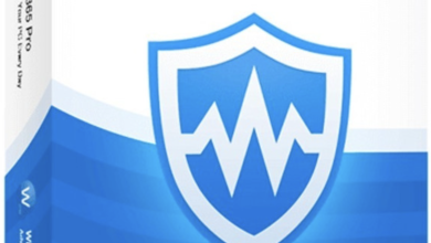 Wise Care 365 Pro Software