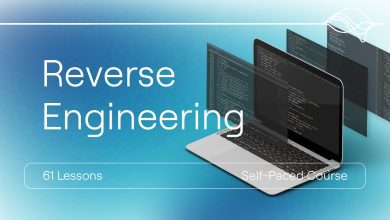 Reverse Engineering video course