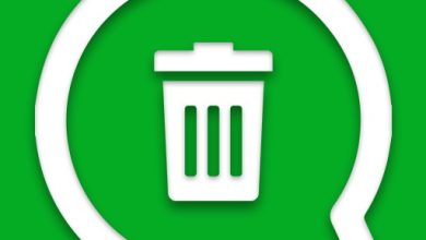 download whatsdelete pro apk