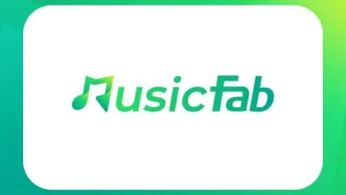 MusicFab All in One For Windows v1.0.1.3 Download and Convert Music from Multiple Services