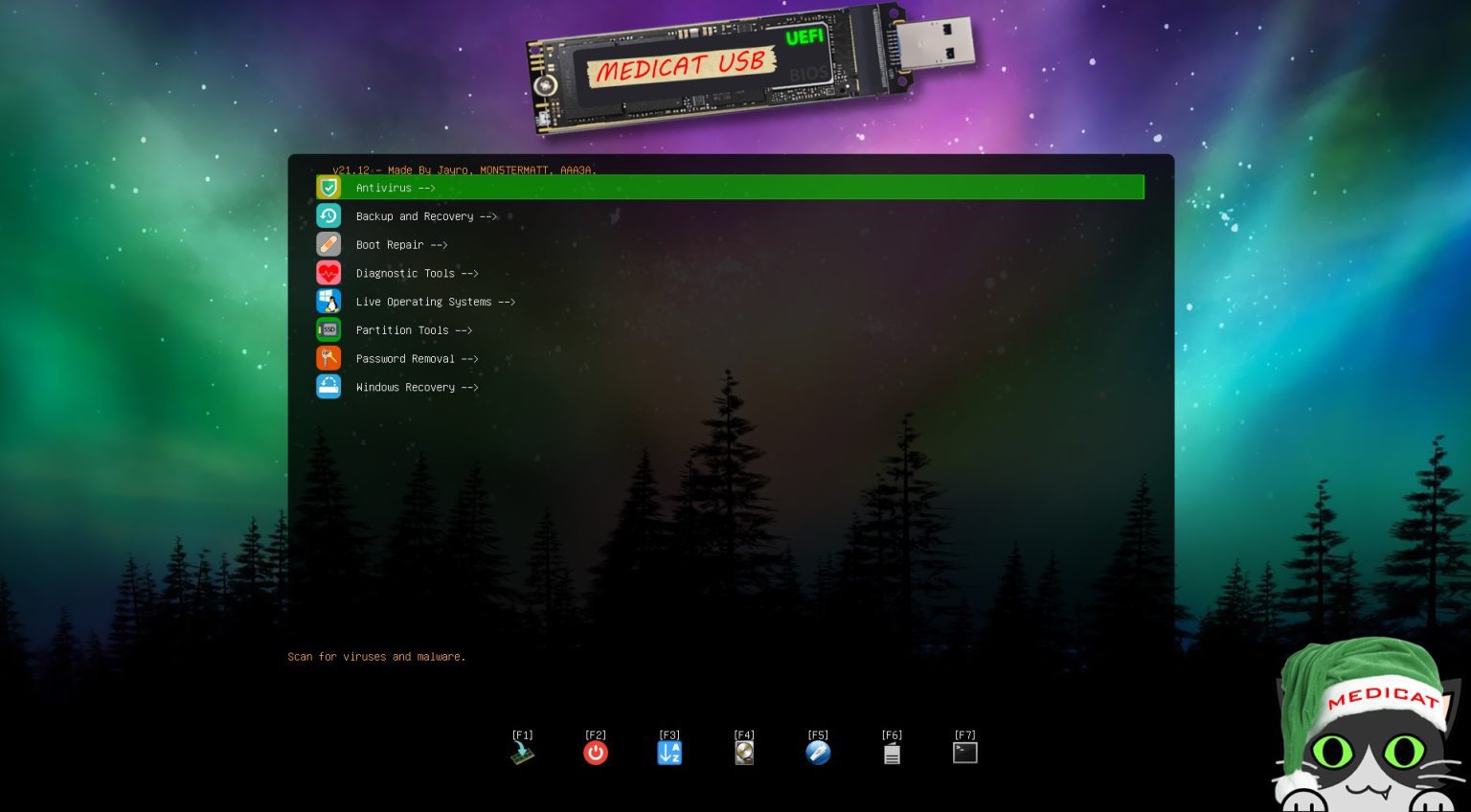 A computer screen displaying a green screen and the text "MediCat USB Installer".