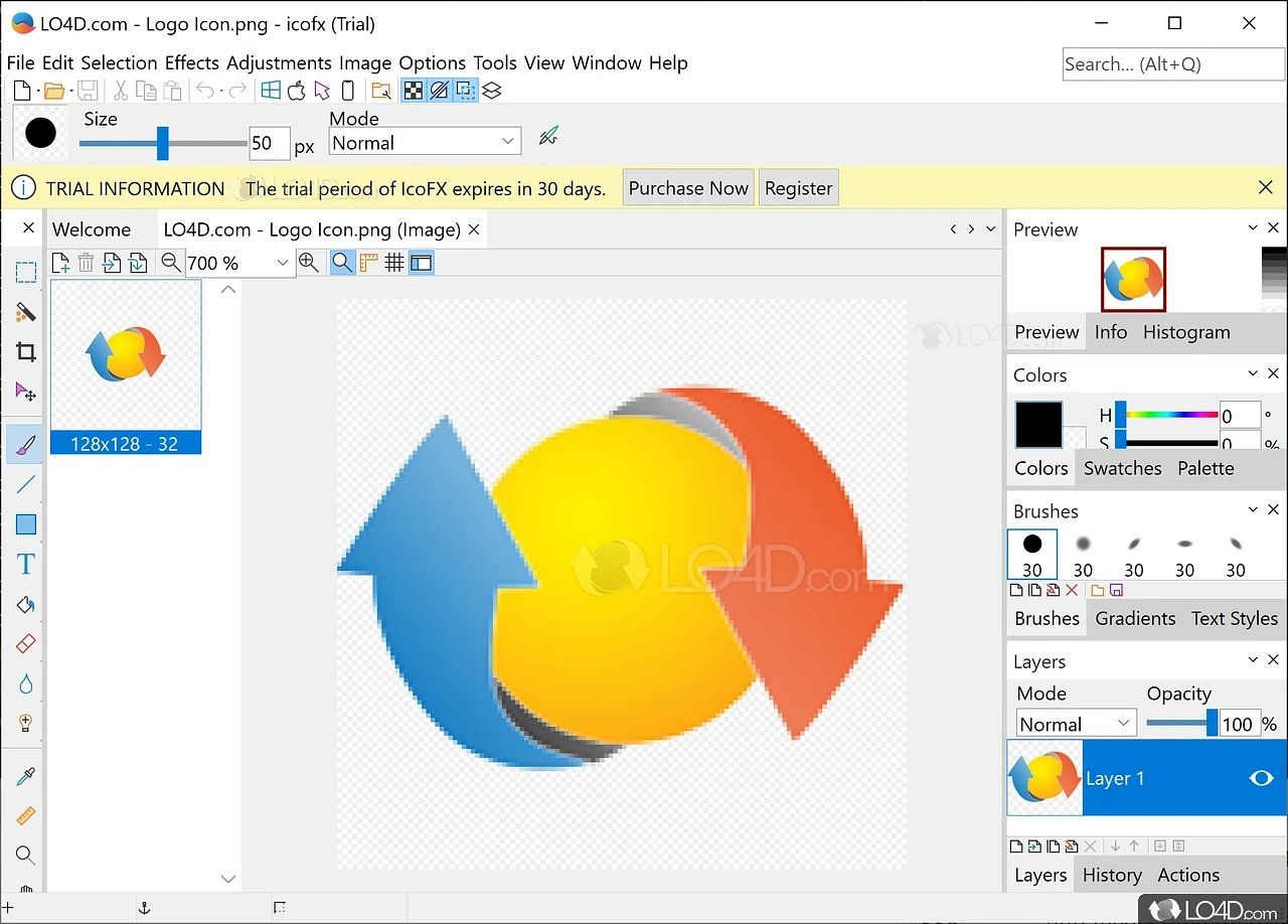 IcoFX Pro For Windows Free Download Full Version