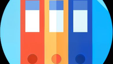 Easy File Organizer Premium v3.4.1 Best One Click File Organizer Software
