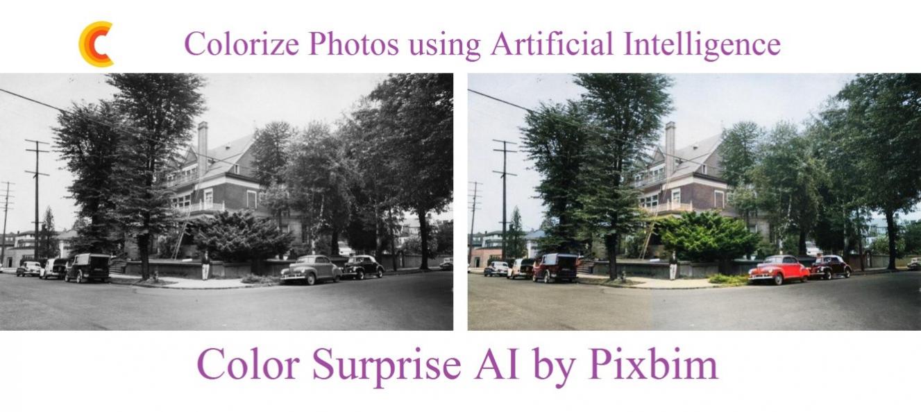 Download Pixbim ColorSurprise AI Software