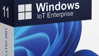 Windows 11 All Edition ISO Files
