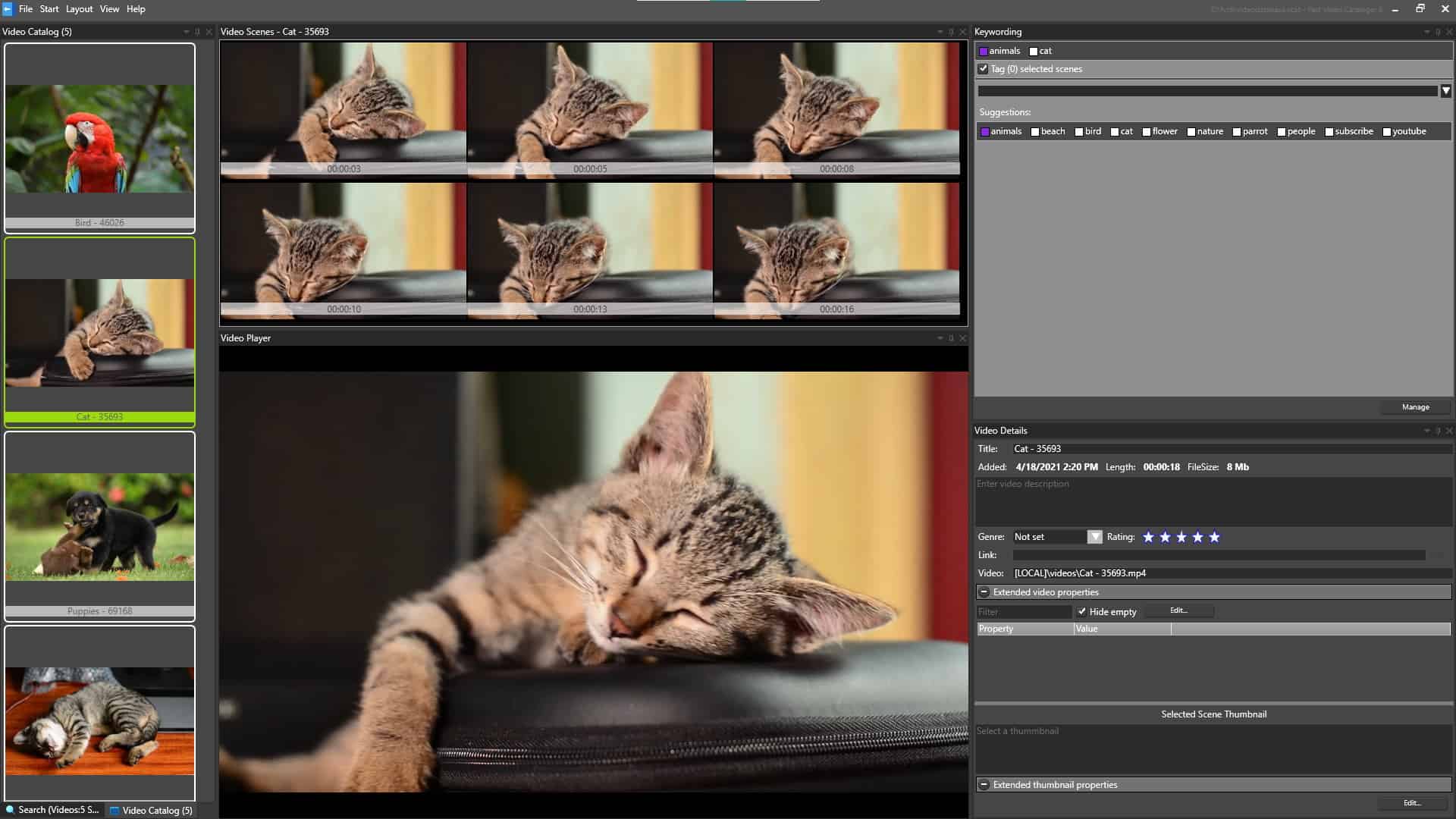 Fast Video Cataloger with keys for windows
