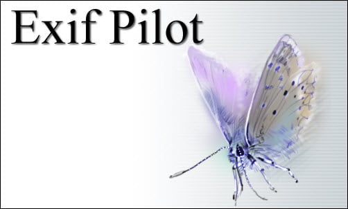 1. Logo for Exit Pilot, featuring the Exif Pilot 2024 branding, showcasing a modern and professional design.