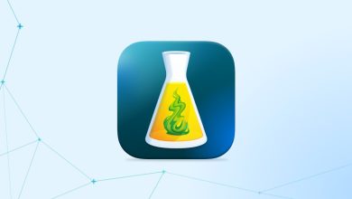 Antidote 12 Grammar and Spell Checker, Antidote Software: Writing Enhancement Tool, French Language Software for Writing Improvement, French Proofreading Tool and Syntax Checker, Professional Writing Tool with French-English Dictionary