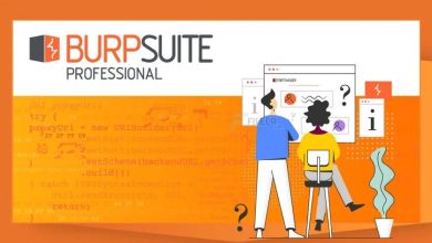 Burp Suite Professional v2025.4 Integrated Platform For Performing Security Testing Of Web Applications