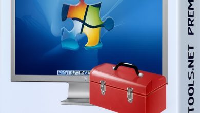 WinTools net Premium AIO For Windows v25.3.1 Best Windows Performance Increasing Software