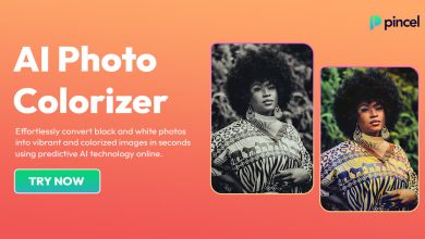 AI Picture Colorizer 2025 v1.0.1 Best One-Click Image Colorization Software