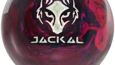 Jackal Photo Tools v1.0 Download Best Jackal Photo Collection