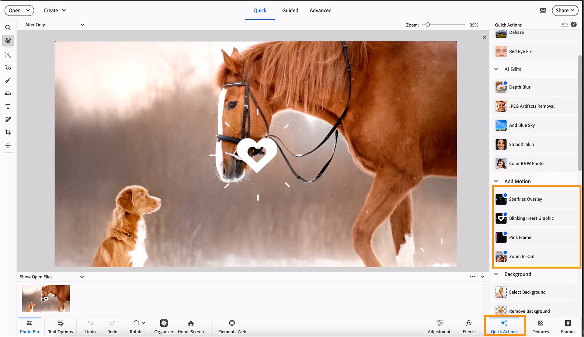 Adobe Photoshop Elements 2025 Free Download for Windows