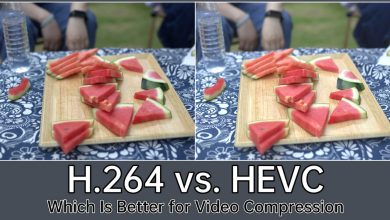 HEVC Pro For Windows v1.0.1 Professional and Efficient H.265 Video Compression Solution