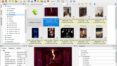 XnViewMP Software v1.8.8 Best Advanced Image Viewer & Photo Management Software