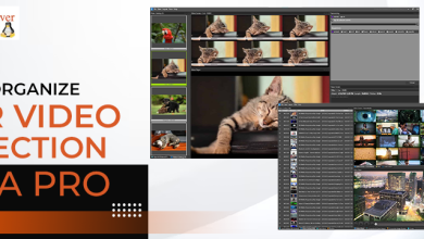 how-to-organize-video-collections